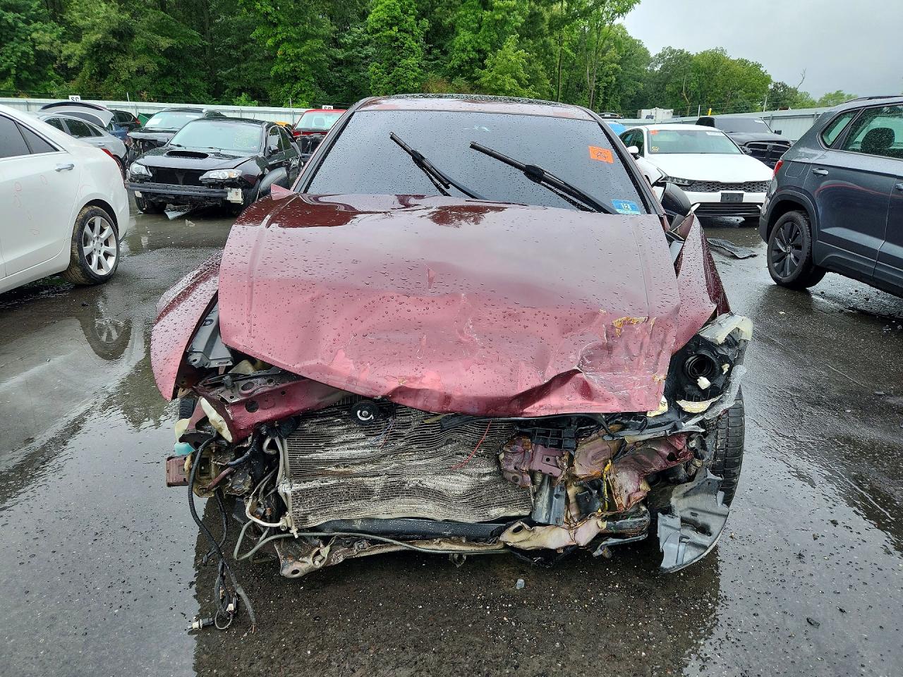 2008 Honda Accord Exl Burgundy vin: 1HGCP36898A011836