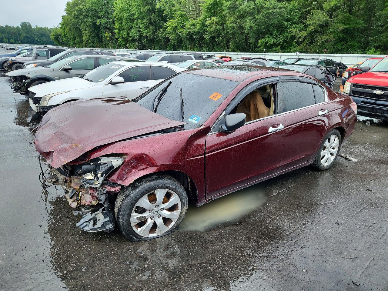2008 Honda Accord Exl Burgundy vin: 1HGCP36898A011836
