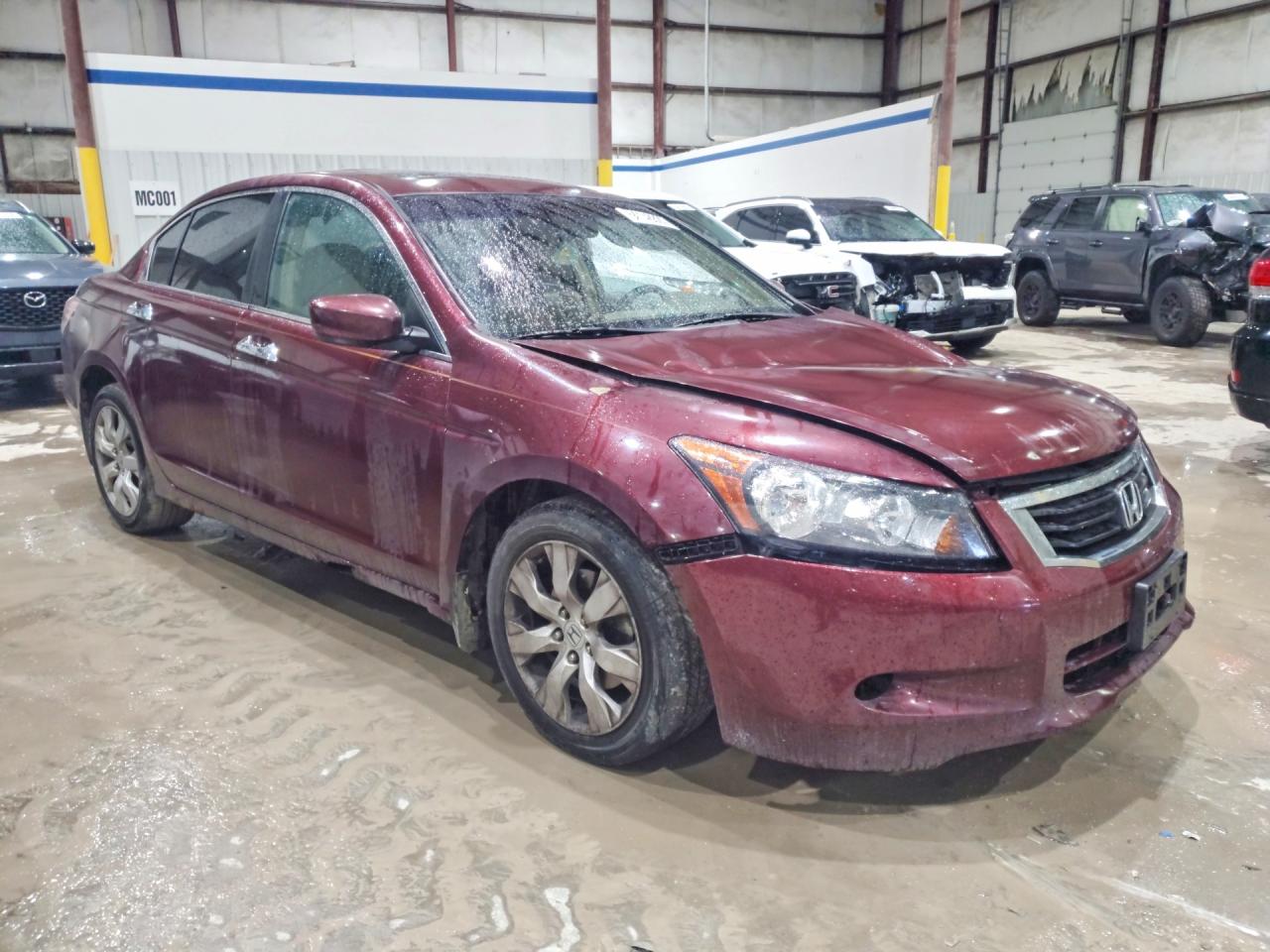 2008 Honda Accord Exl Бордовый vin: 1HGCP36898A039555
