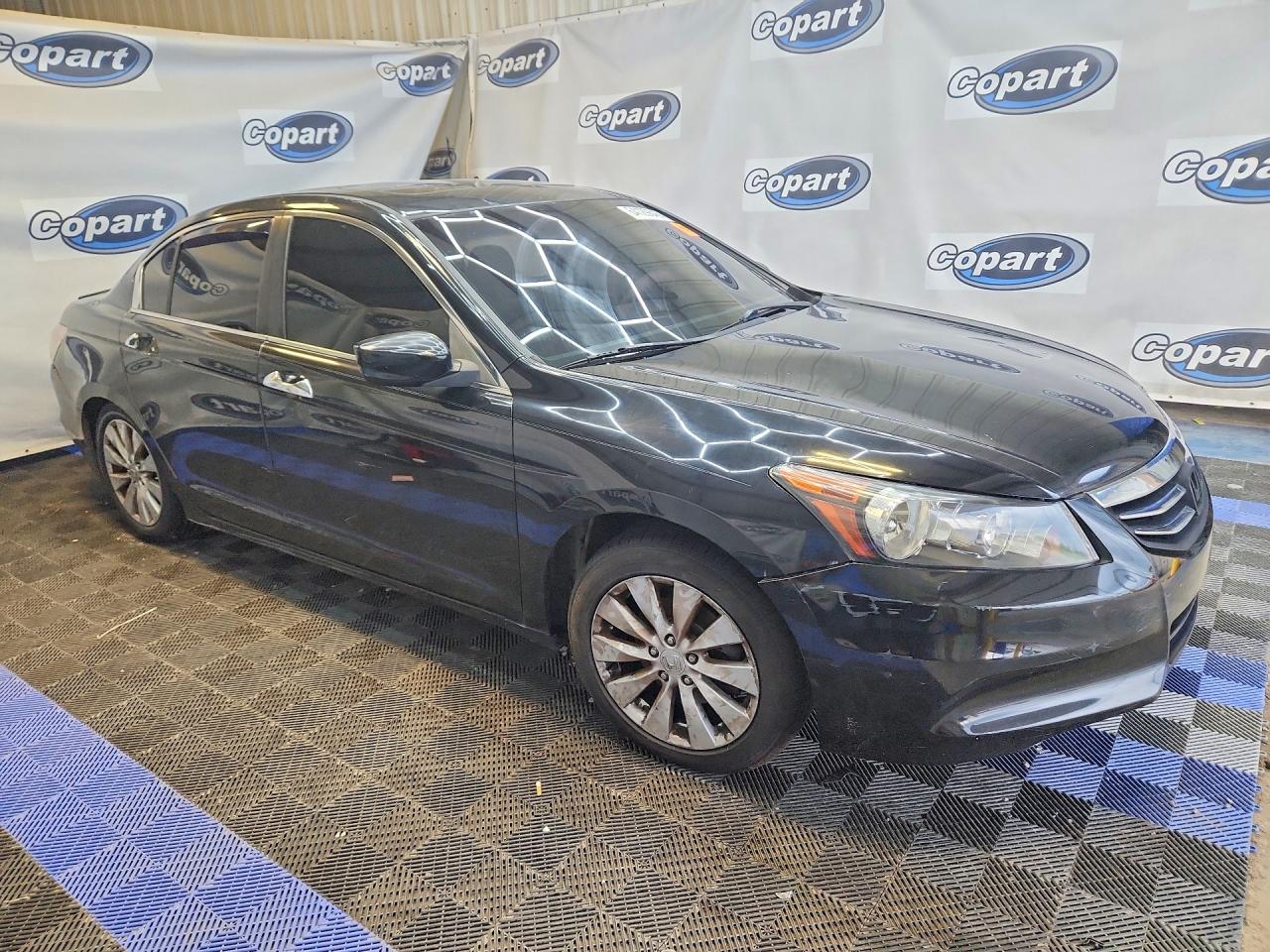2008 Honda Accord Exl Black vin: 1HGCP36898A060535