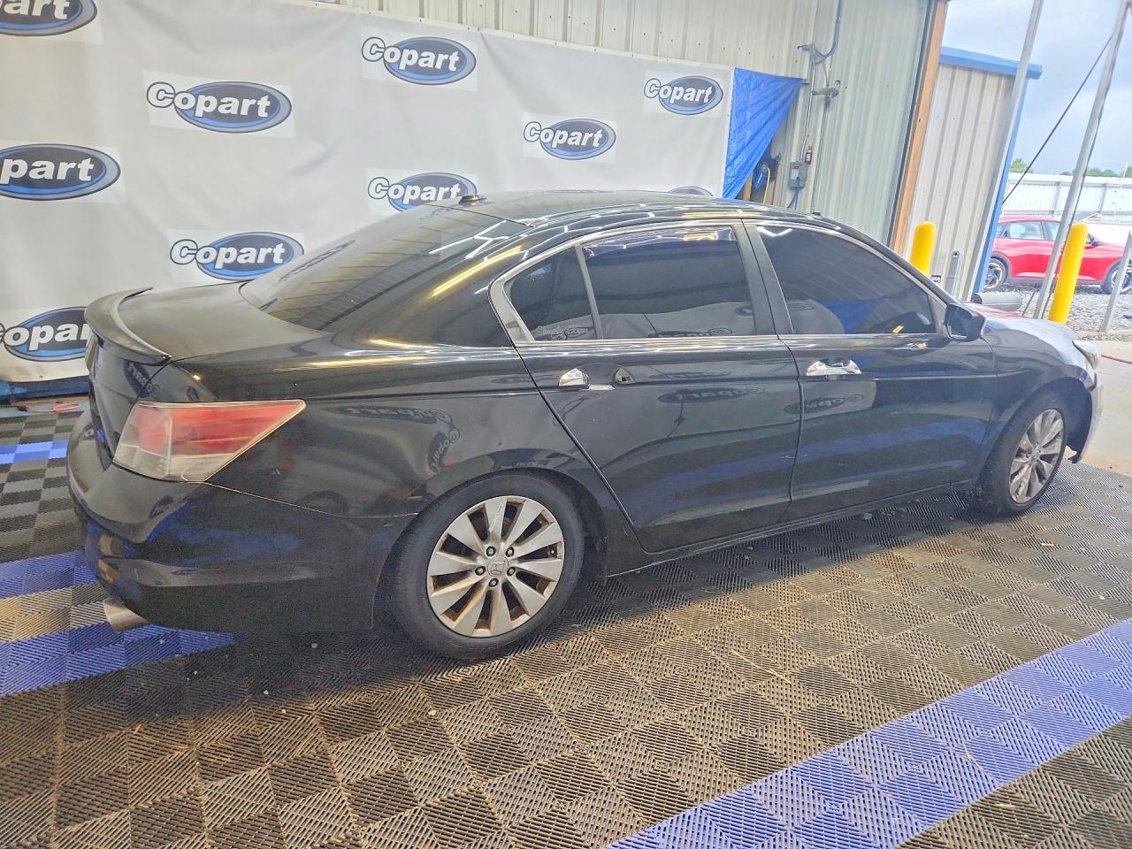 2008 Honda Accord Exl Black vin: 1HGCP36898A060535