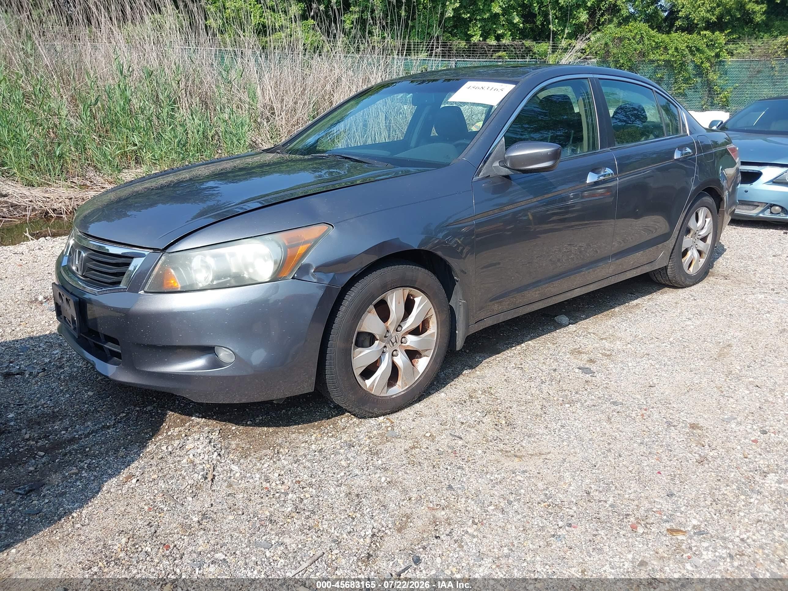 2009 Honda Accord 3.5 Ex-l Gray vin: 1HGCP36899A023177