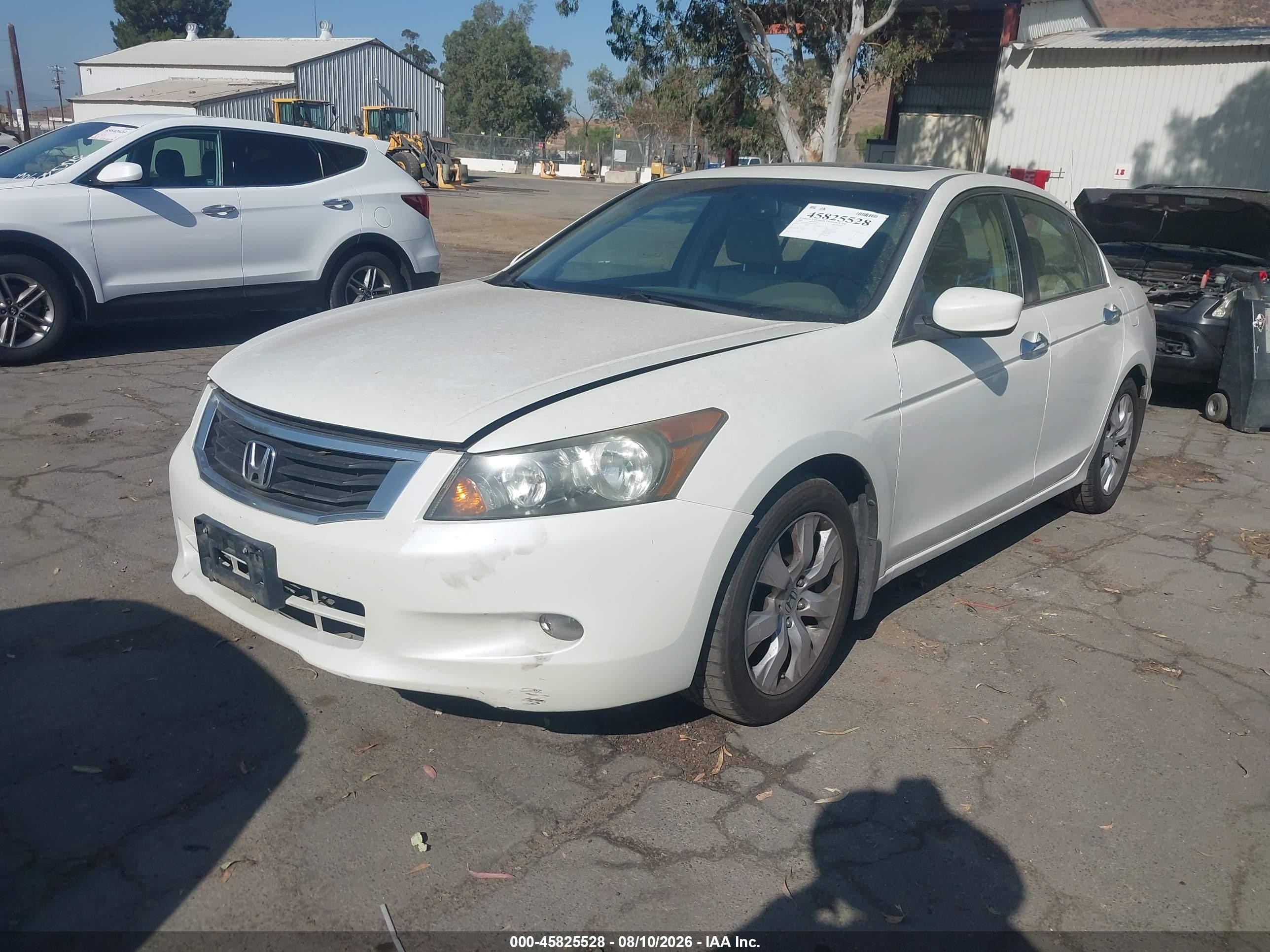 2009 Honda Accord 3.5 Ex-l Белый vin: 1HGCP36899A025043