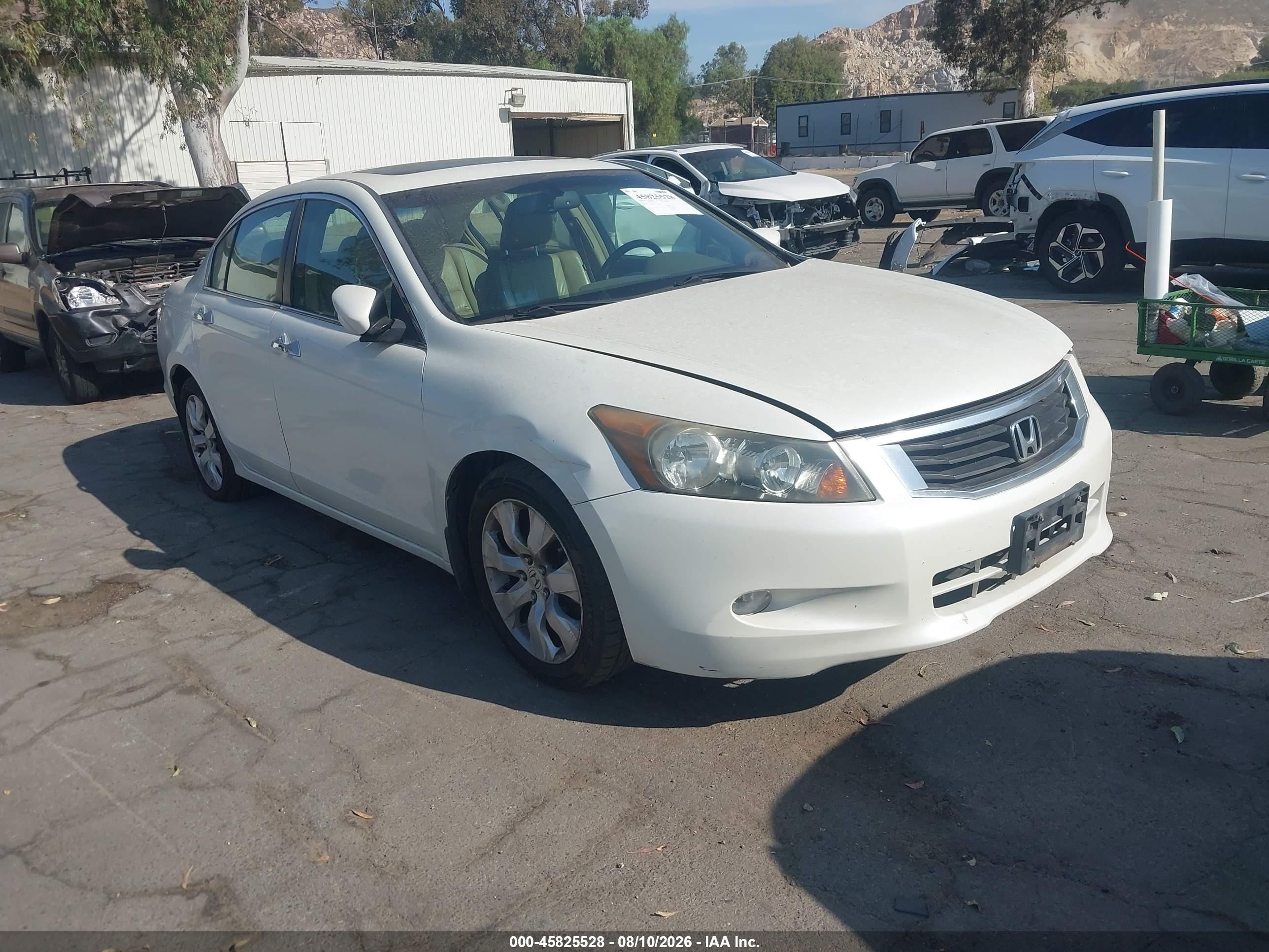 2009 Honda Accord 3.5 Ex-l White vin: 1HGCP36899A025043