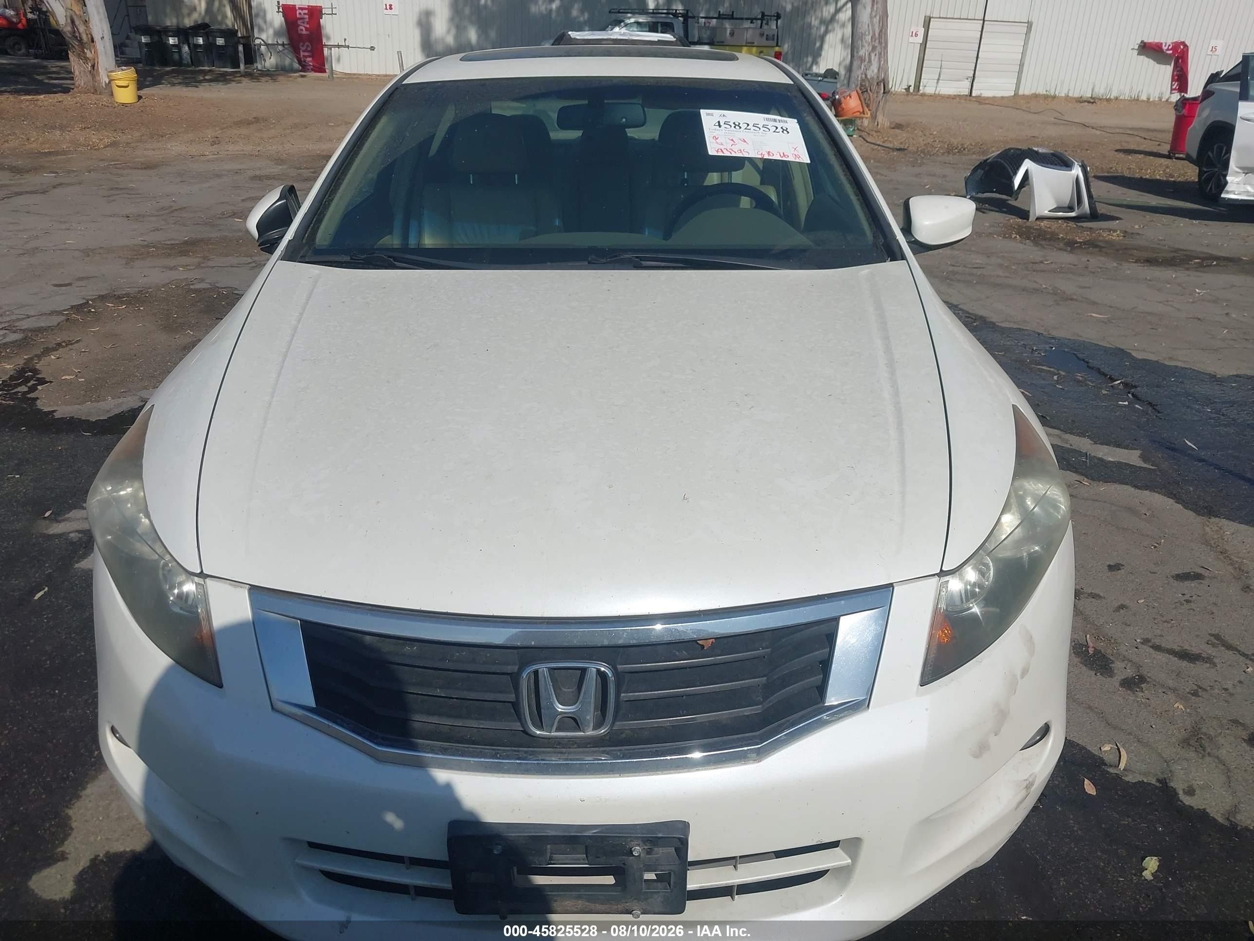 2009 Honda Accord 3.5 Ex-l Белый vin: 1HGCP36899A025043