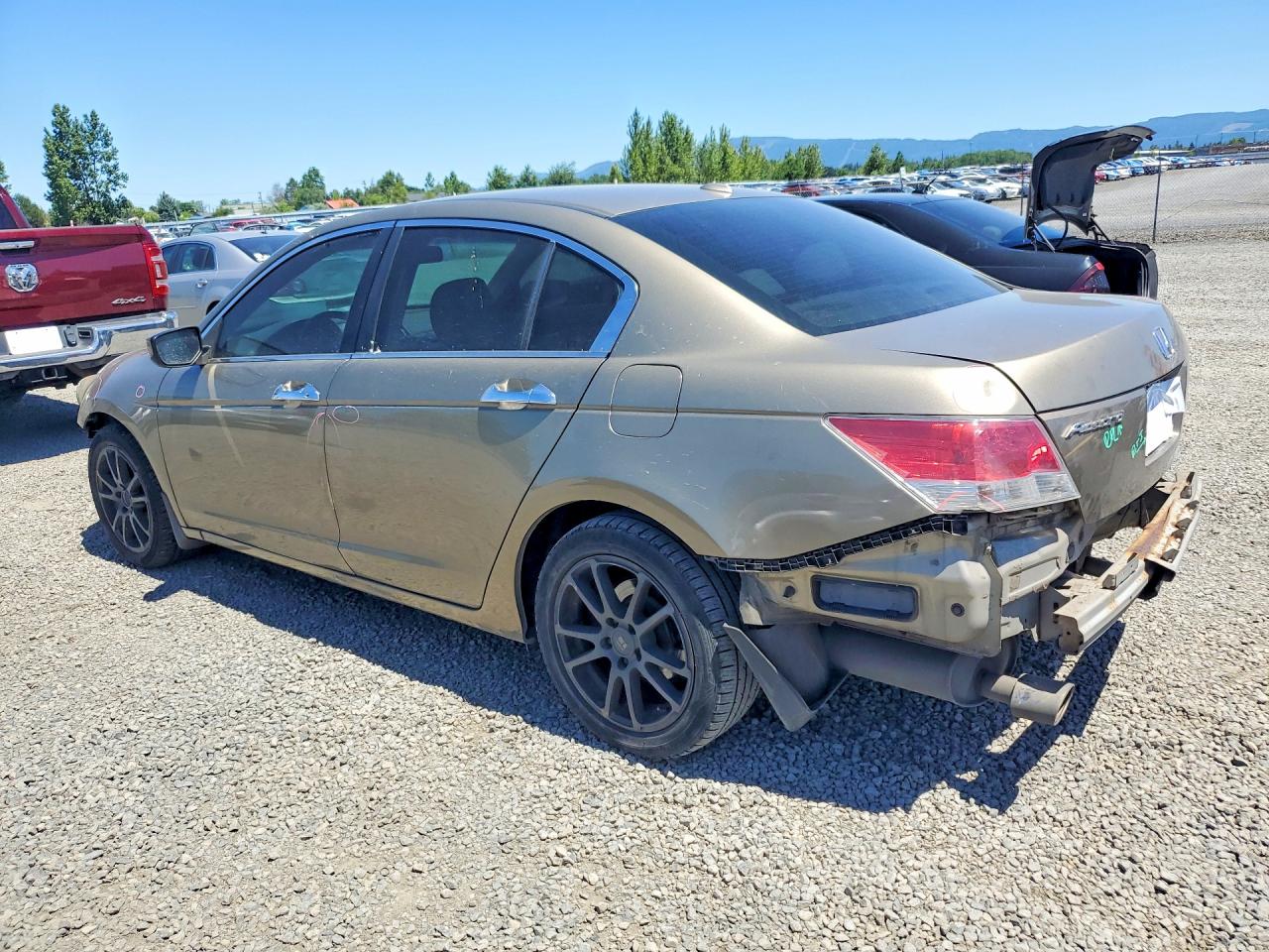 2009 Honda Accord Exl Gold vin: 1HGCP36899A028833