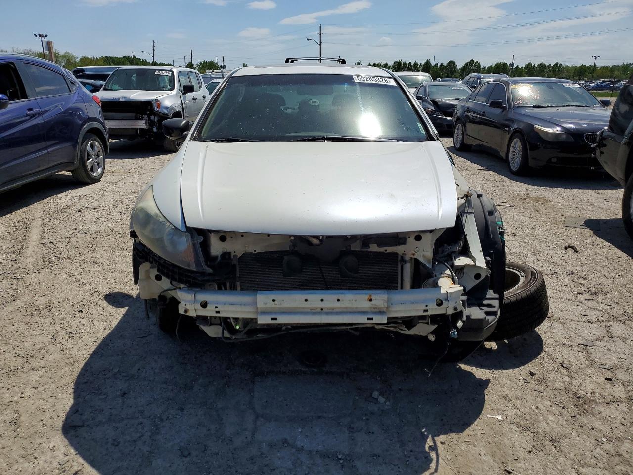 2009 Honda Accord Exl White vin: 1HGCP36899A048161