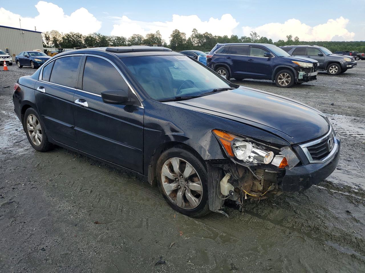2009 Honda Accord Exl Black vin: 1HGCP36899A048645