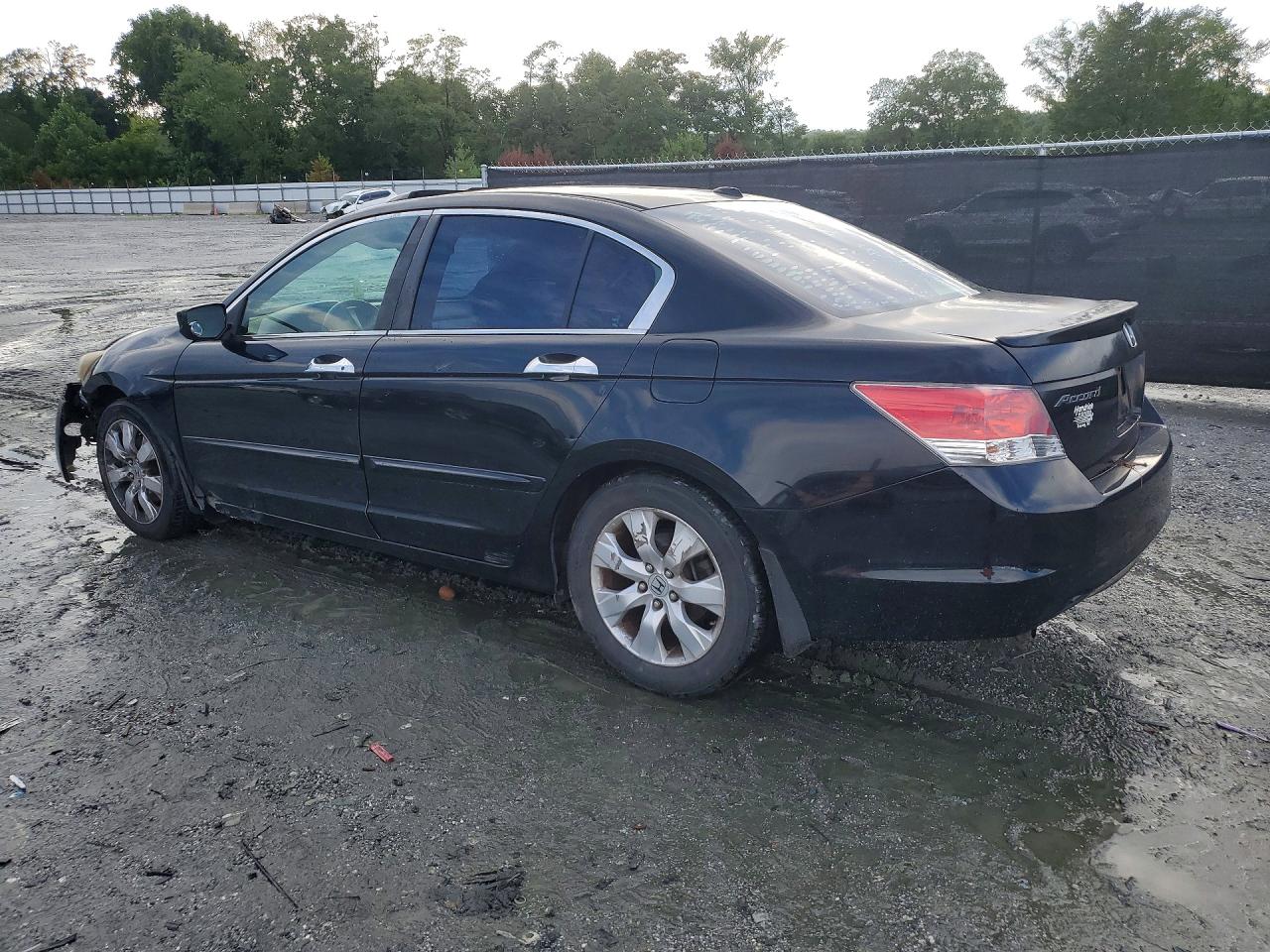 2009 Honda Accord Exl Black vin: 1HGCP36899A048645