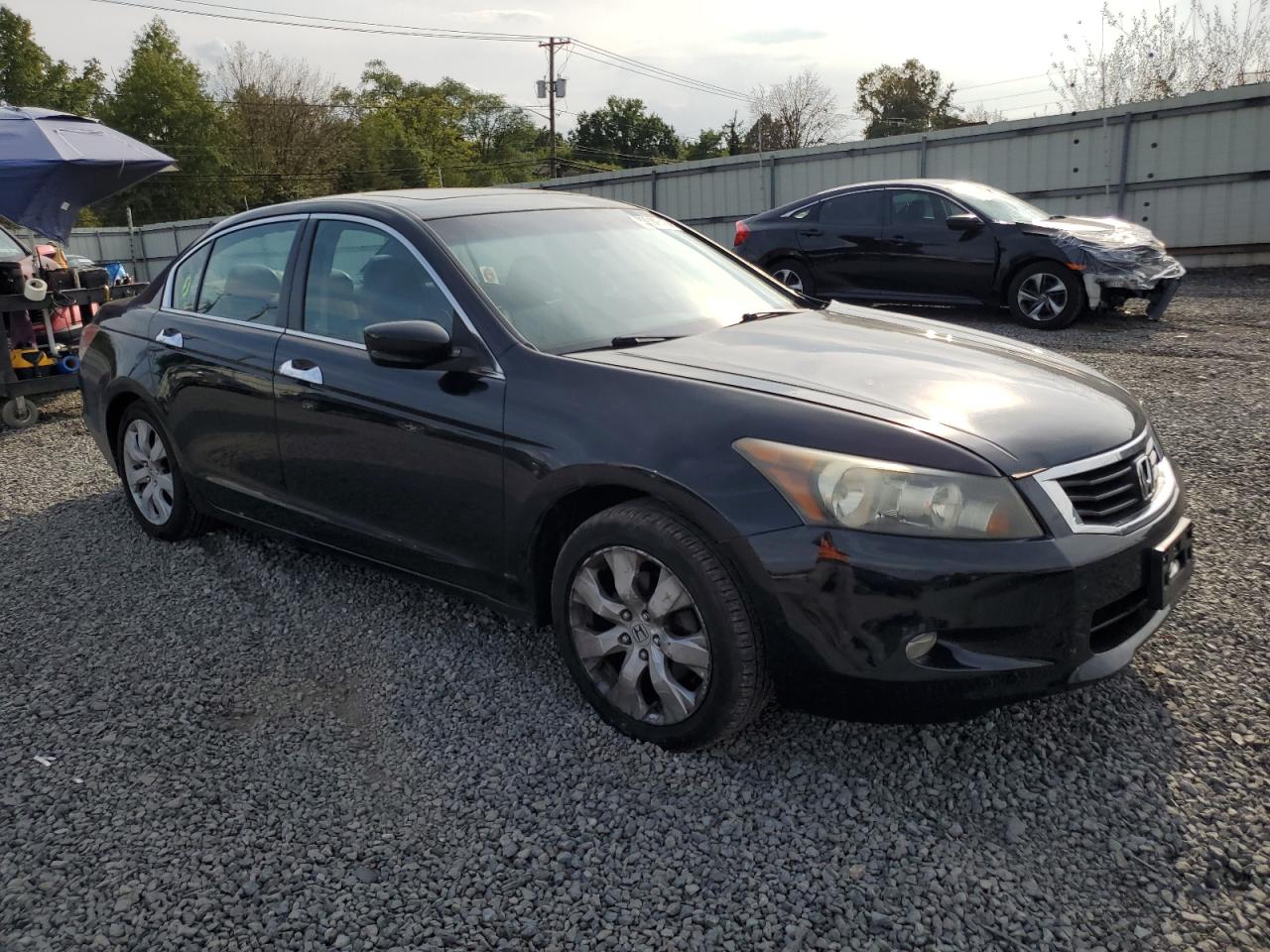 2008 Honda Accord Exl Black vin: 1HGCP368X8A045316