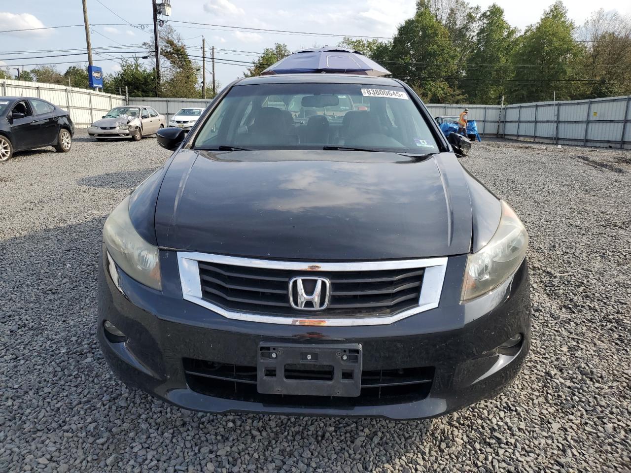2008 Honda Accord Exl Black vin: 1HGCP368X8A045316