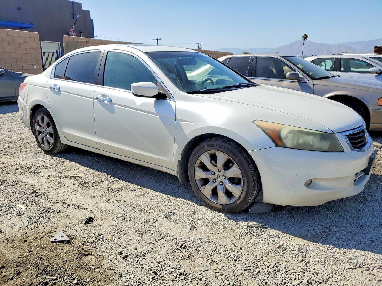 2008 Honda Accord Exl White vin: 1HGCP368X8A067803
