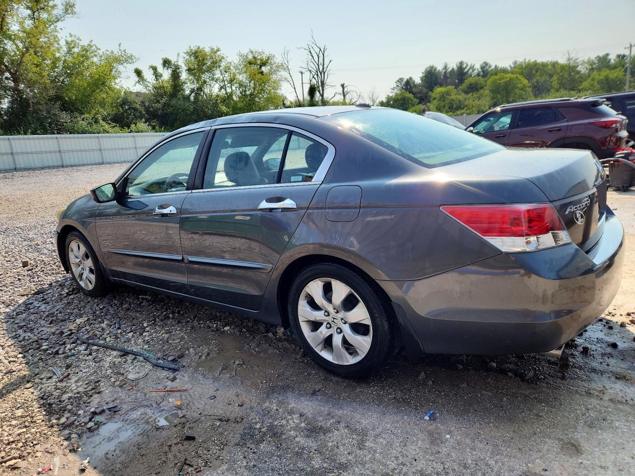 2008 Honda Accord Exl Gray vin: 1HGCP368X8A079899