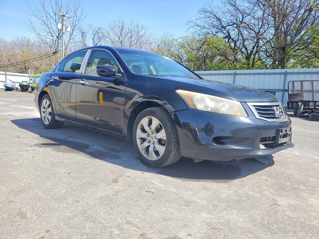 2009 Honda Accord Exl Black vin: 1HGCP368X9A033135