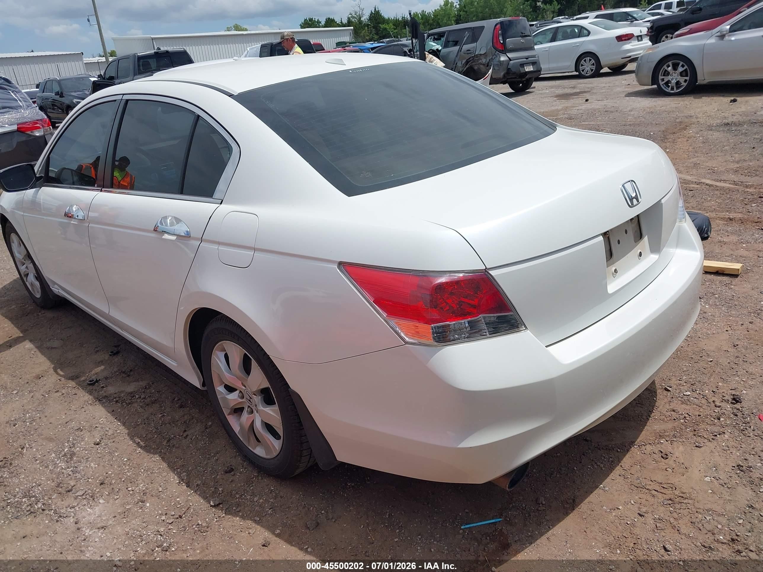 2009 Honda Accord 3.5 Ex-l White vin: 1HGCP368X9A036701