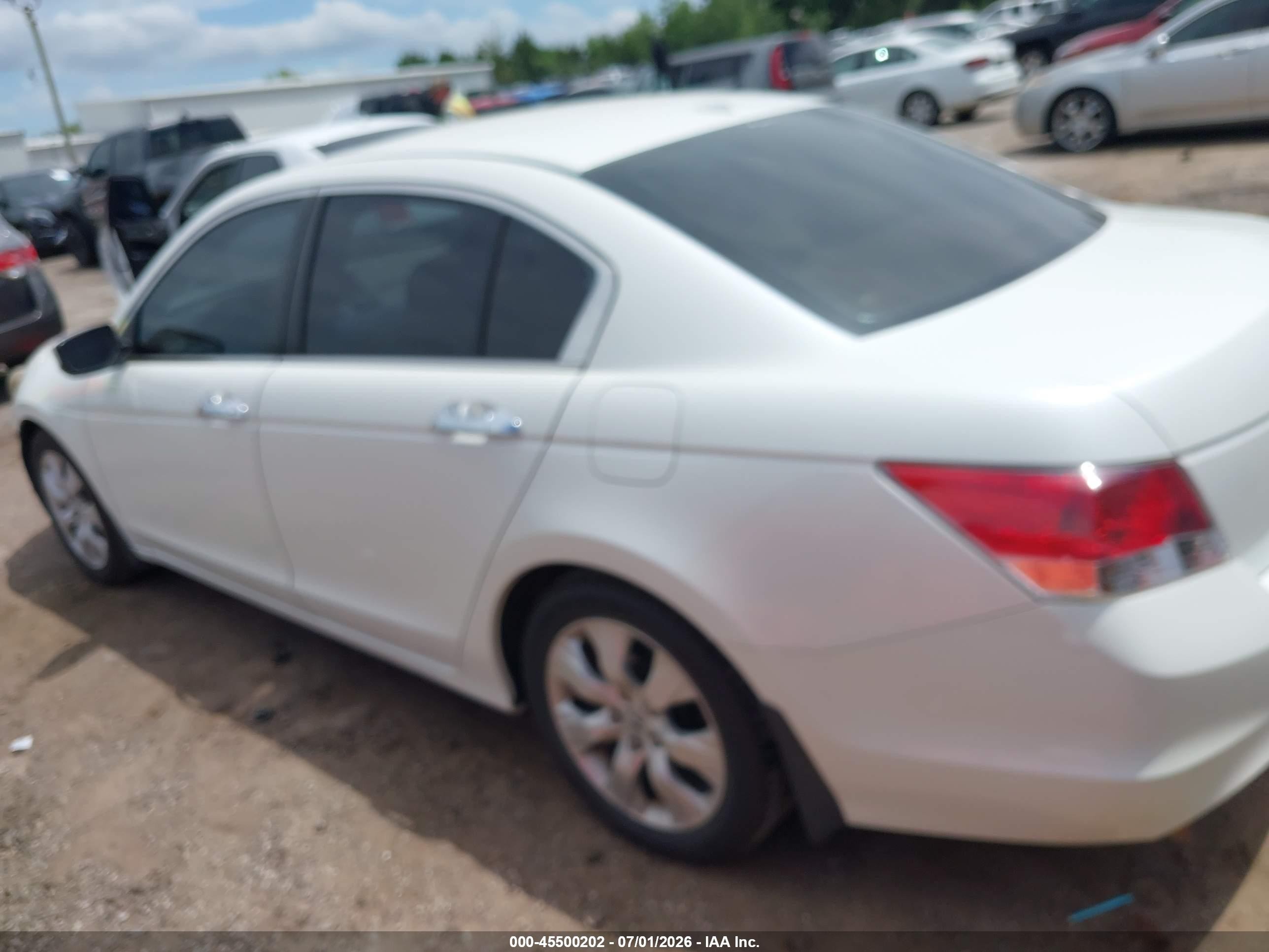 2009 Honda Accord 3.5 Ex-l White vin: 1HGCP368X9A036701