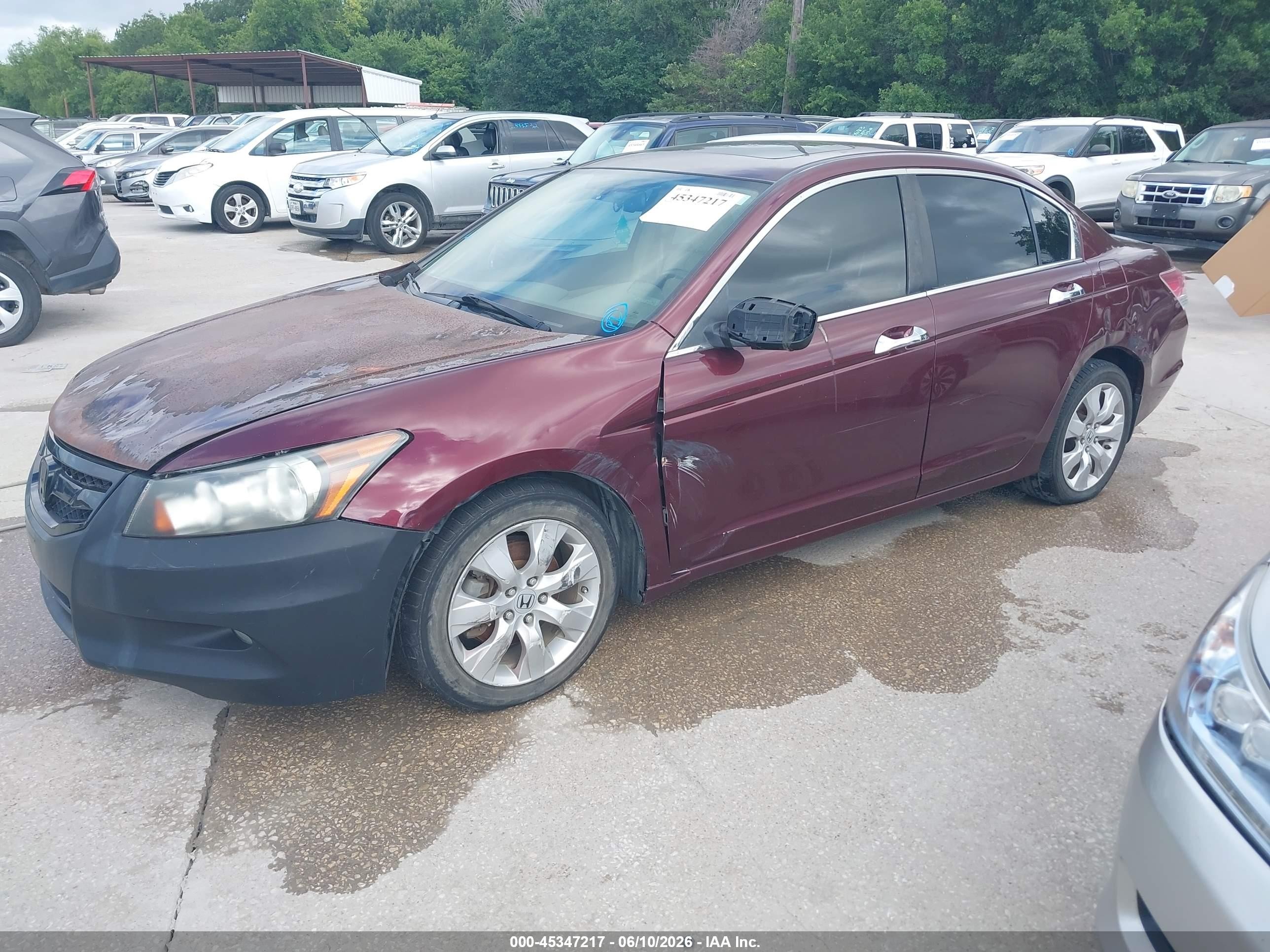 2009 Honda Accord 3.5 Ex-l Burgundy vin: 1HGCP368X9A048010