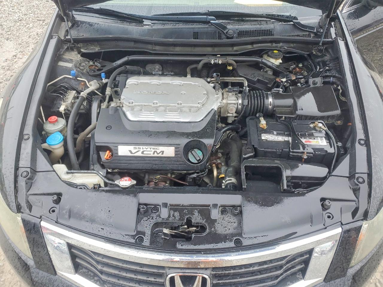 2010 Honda Accord Exl Black vin: 1HGCP3F80AA024481