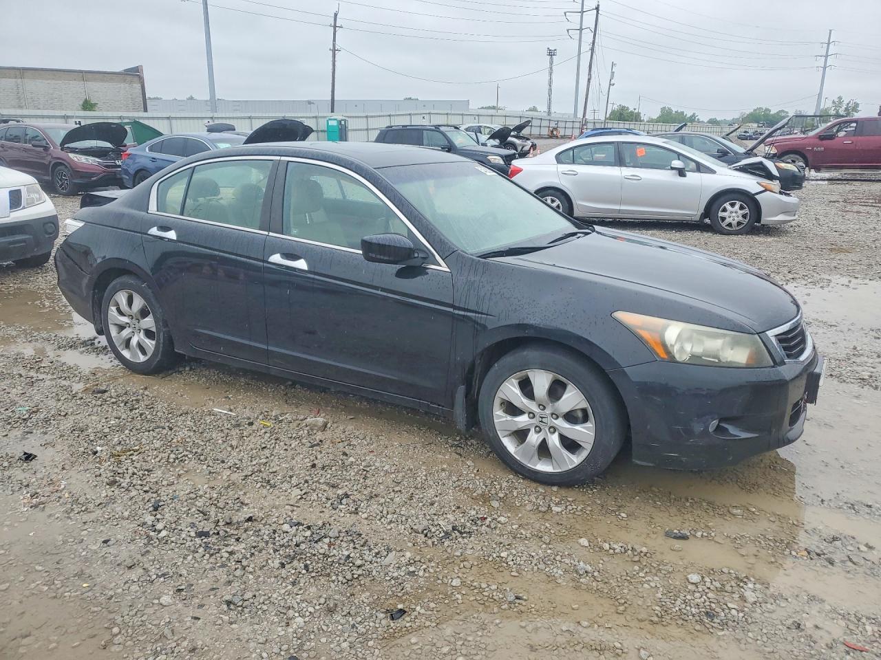 2010 Honda Accord Exl Black vin: 1HGCP3F80AA024481