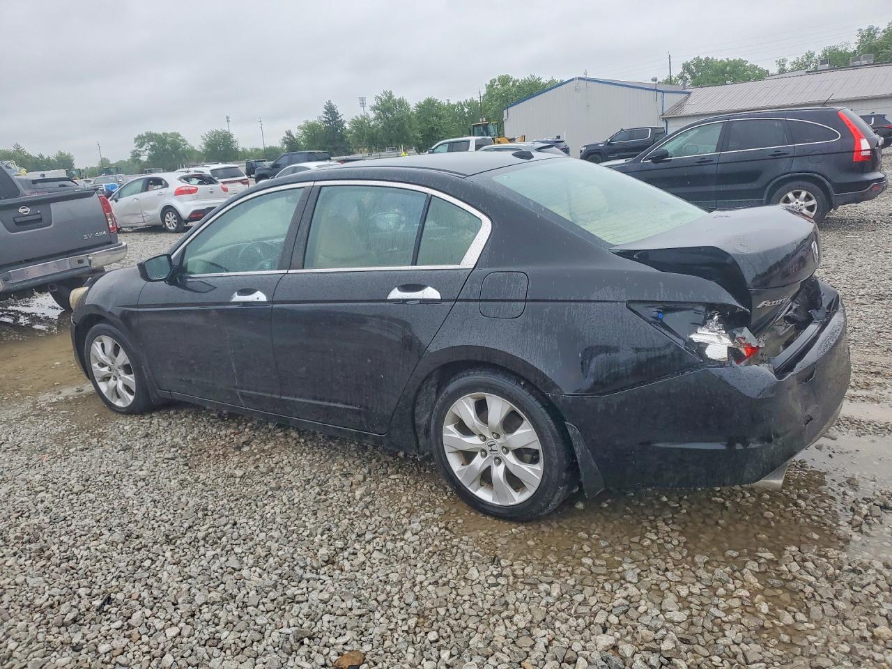 2010 Honda Accord Exl Black vin: 1HGCP3F80AA024481