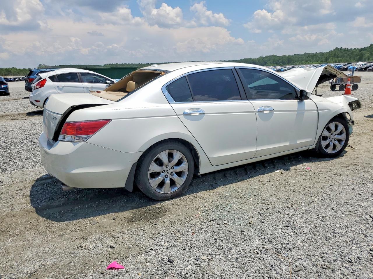 2010 Honda Accord Exl White vin: 1HGCP3F80AA031737