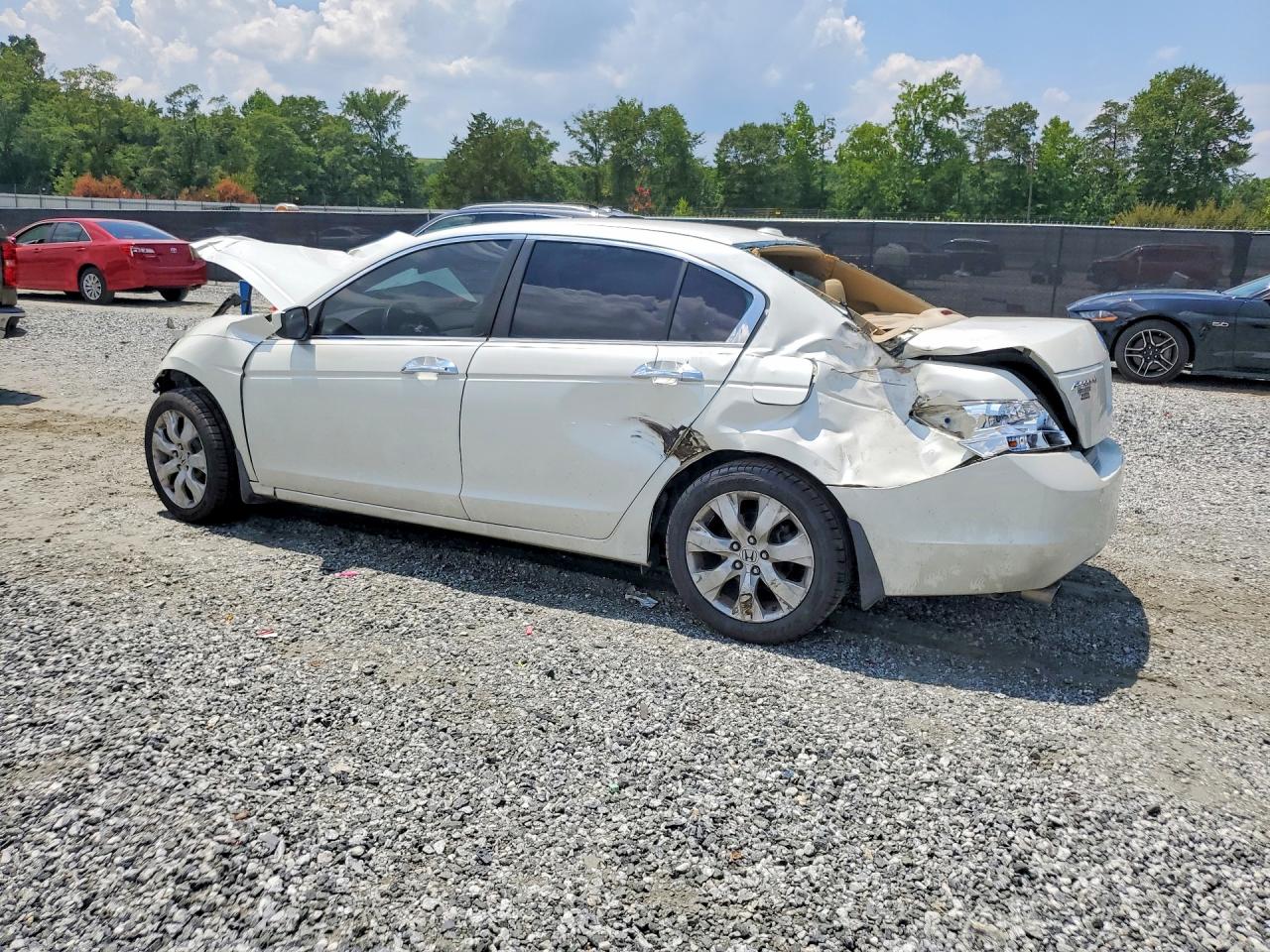2010 Honda Accord Exl White vin: 1HGCP3F80AA031737