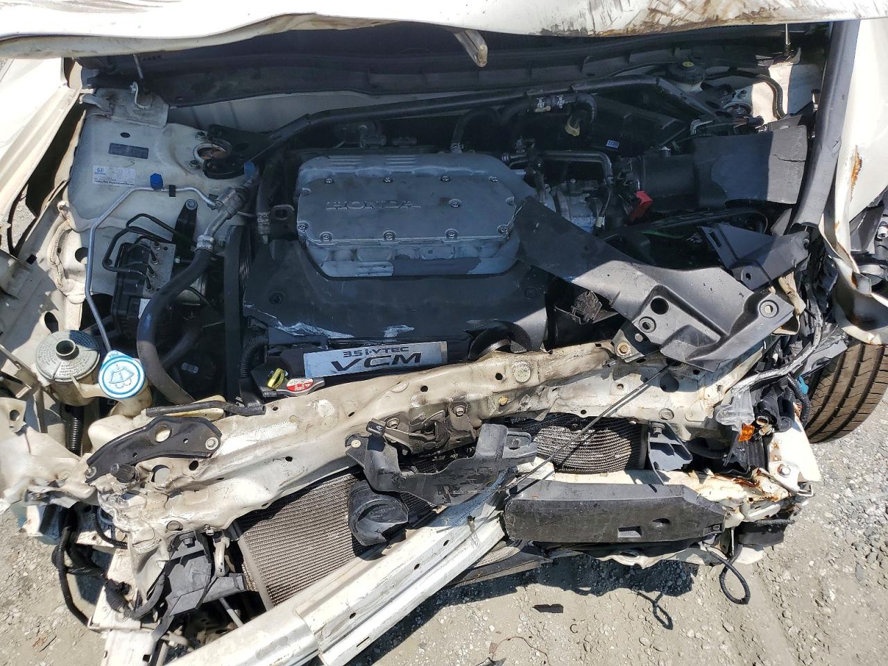 2010 Honda Accord Exl White vin: 1HGCP3F80AA031737