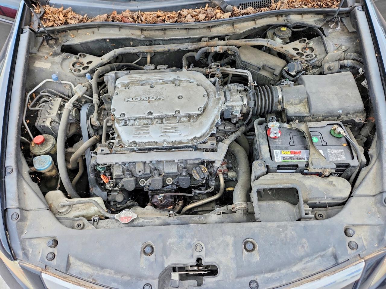 2011 Honda Accord Exl Black vin: 1HGCP3F80BA006032