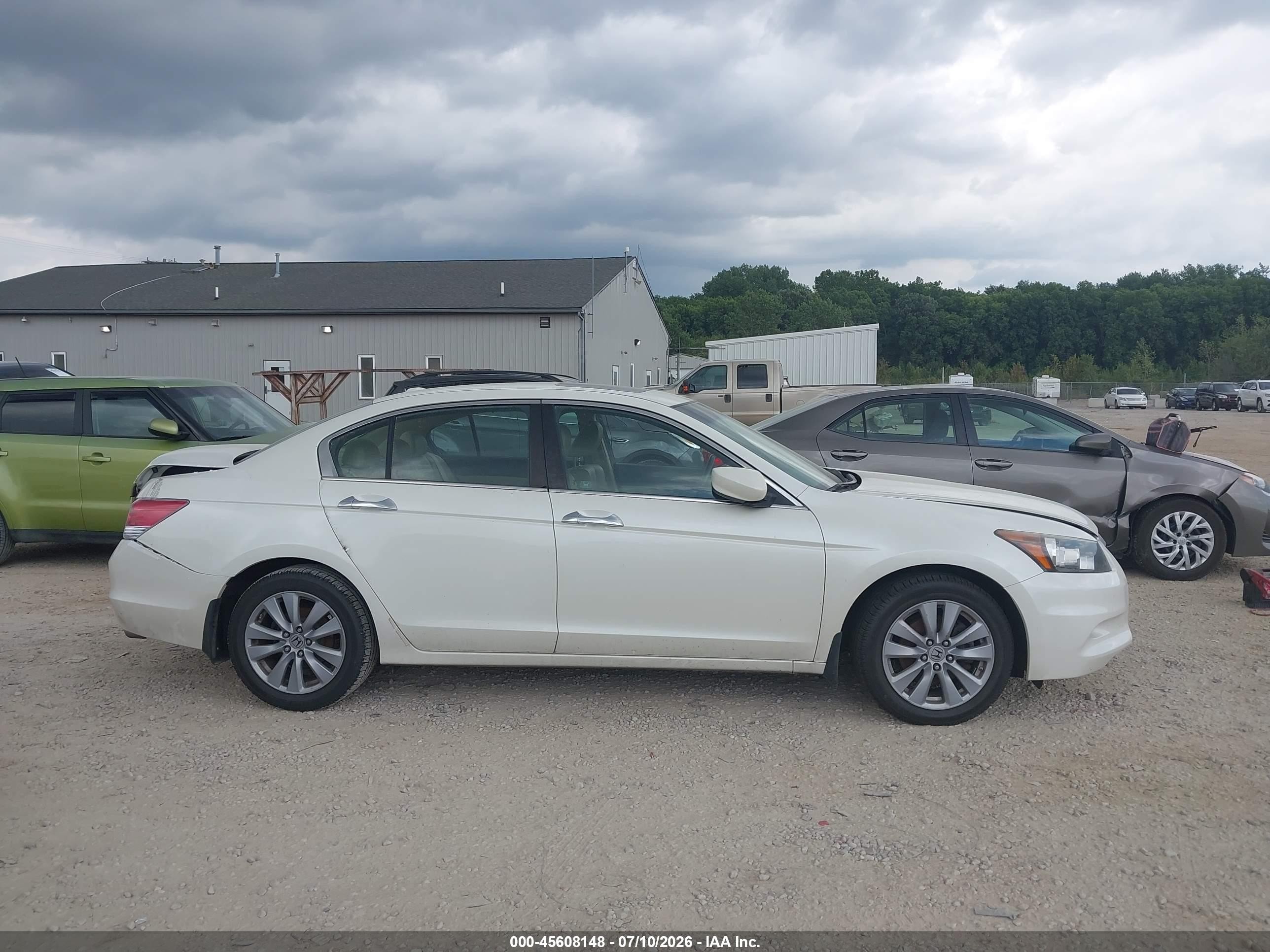 2011 Honda Accord 3.5 Ex-l White vin: 1HGCP3F80BA008556