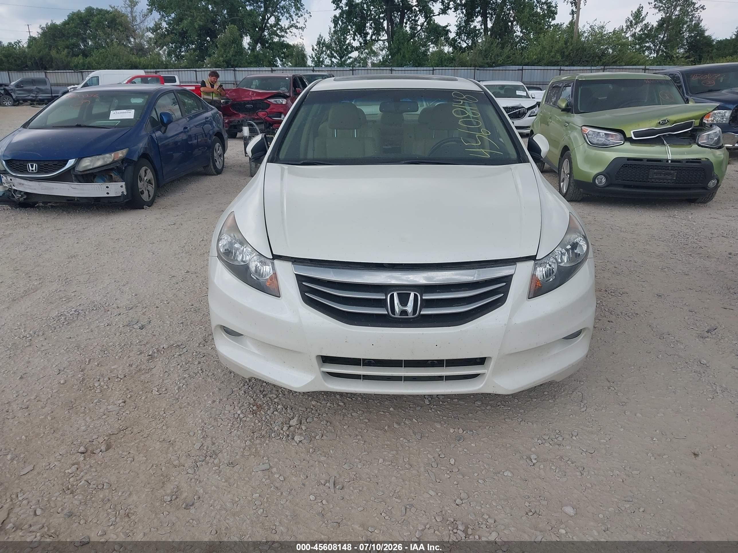2011 Honda Accord 3.5 Ex-l White vin: 1HGCP3F80BA008556