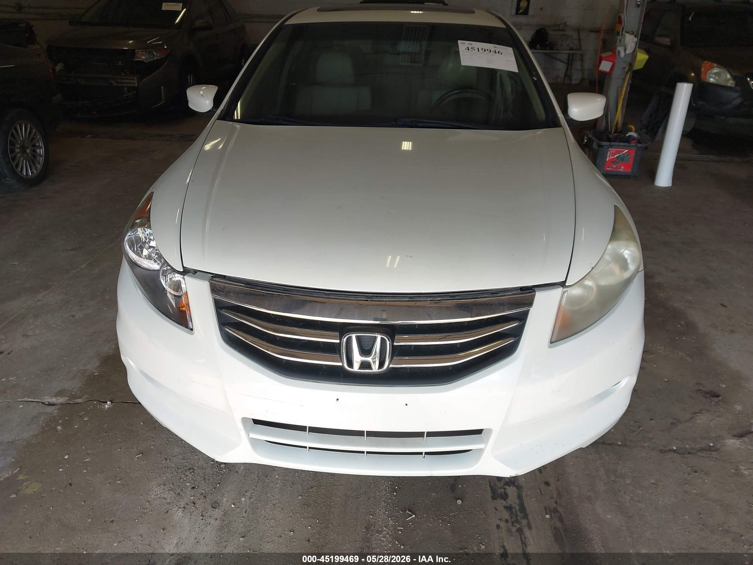 2011 Honda Accord 3.5 Ex-l White vin: 1HGCP3F80BA009562