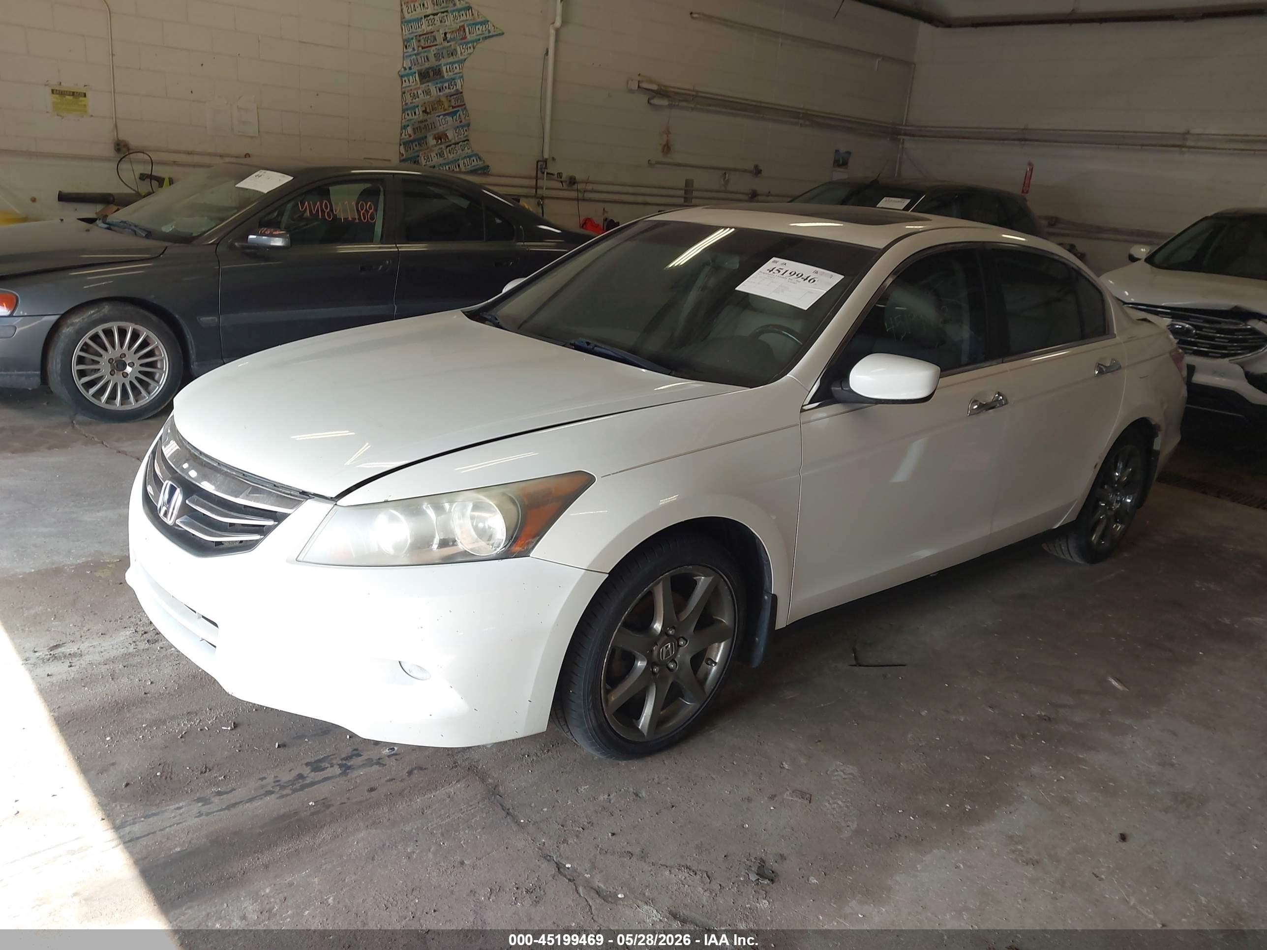 2011 Honda Accord 3.5 Ex-l White vin: 1HGCP3F80BA009562