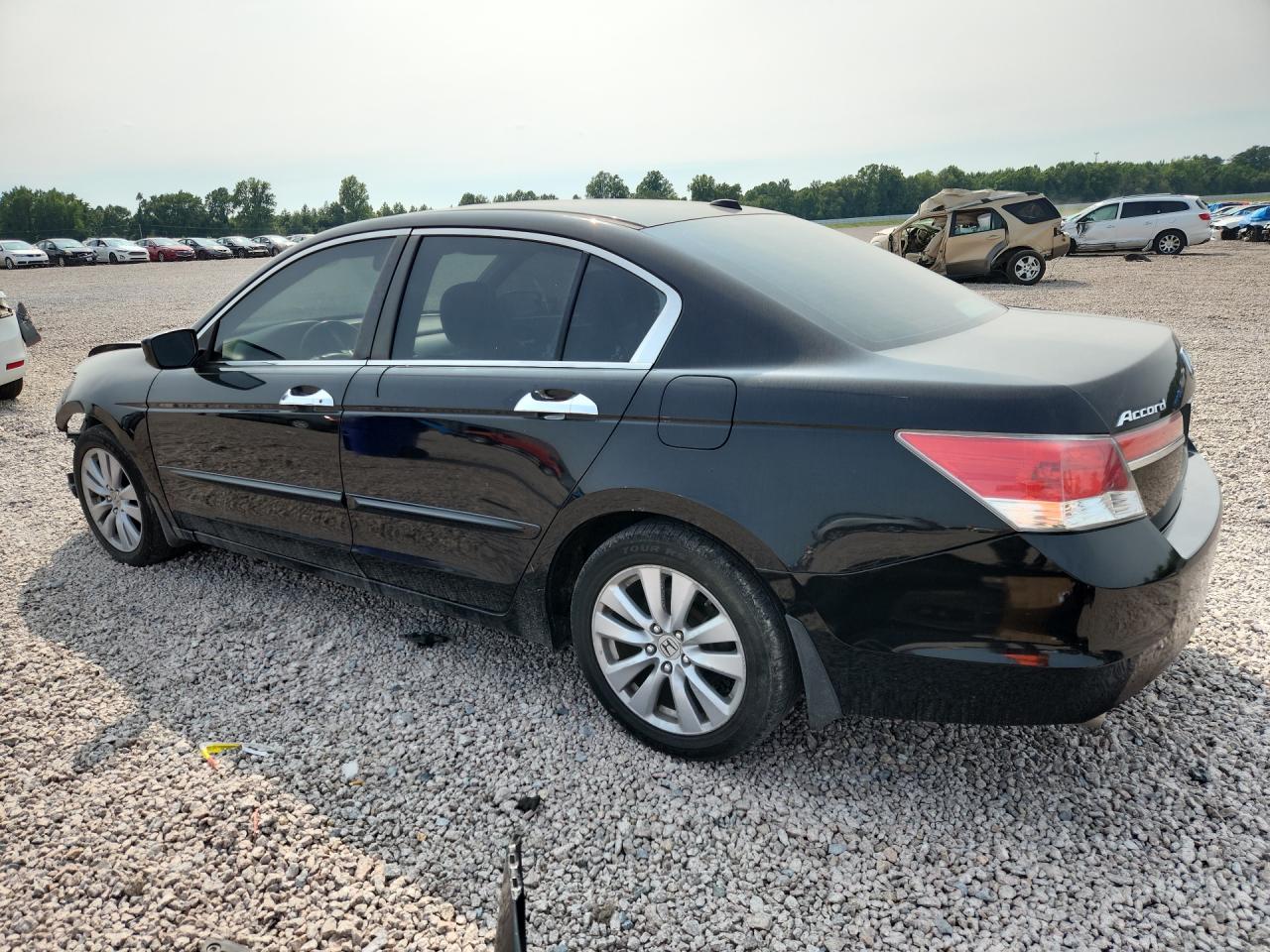 2011 Honda Accord Exl Black vin: 1HGCP3F80BA015779