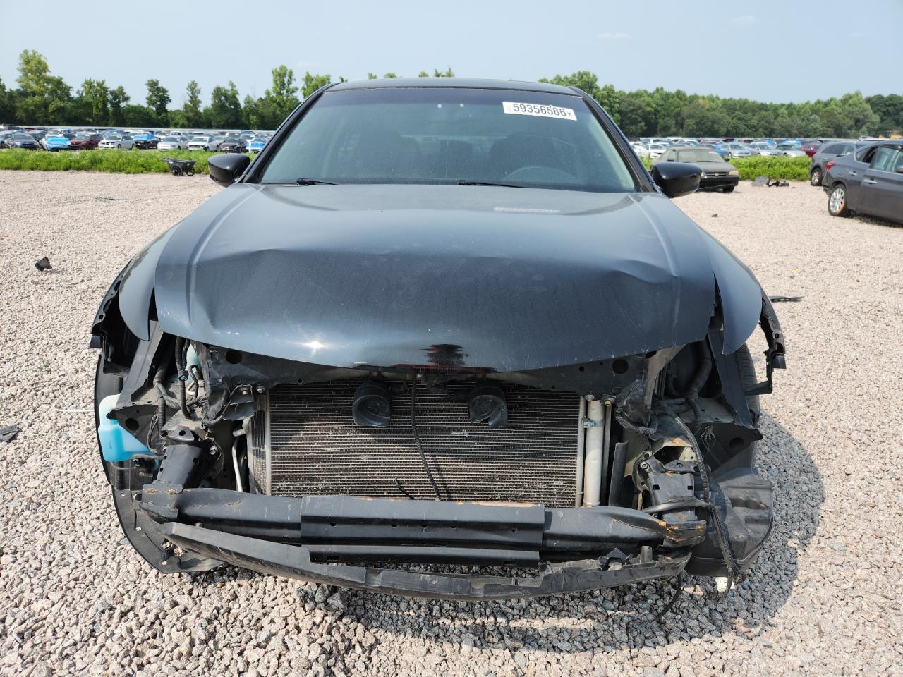 2011 Honda Accord Exl Black vin: 1HGCP3F80BA015779