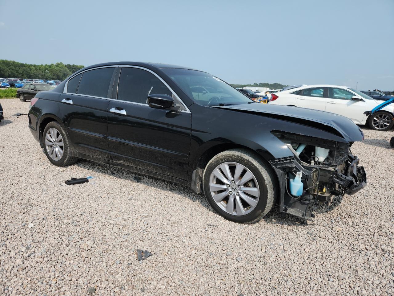 2011 Honda Accord Exl Black vin: 1HGCP3F80BA015779