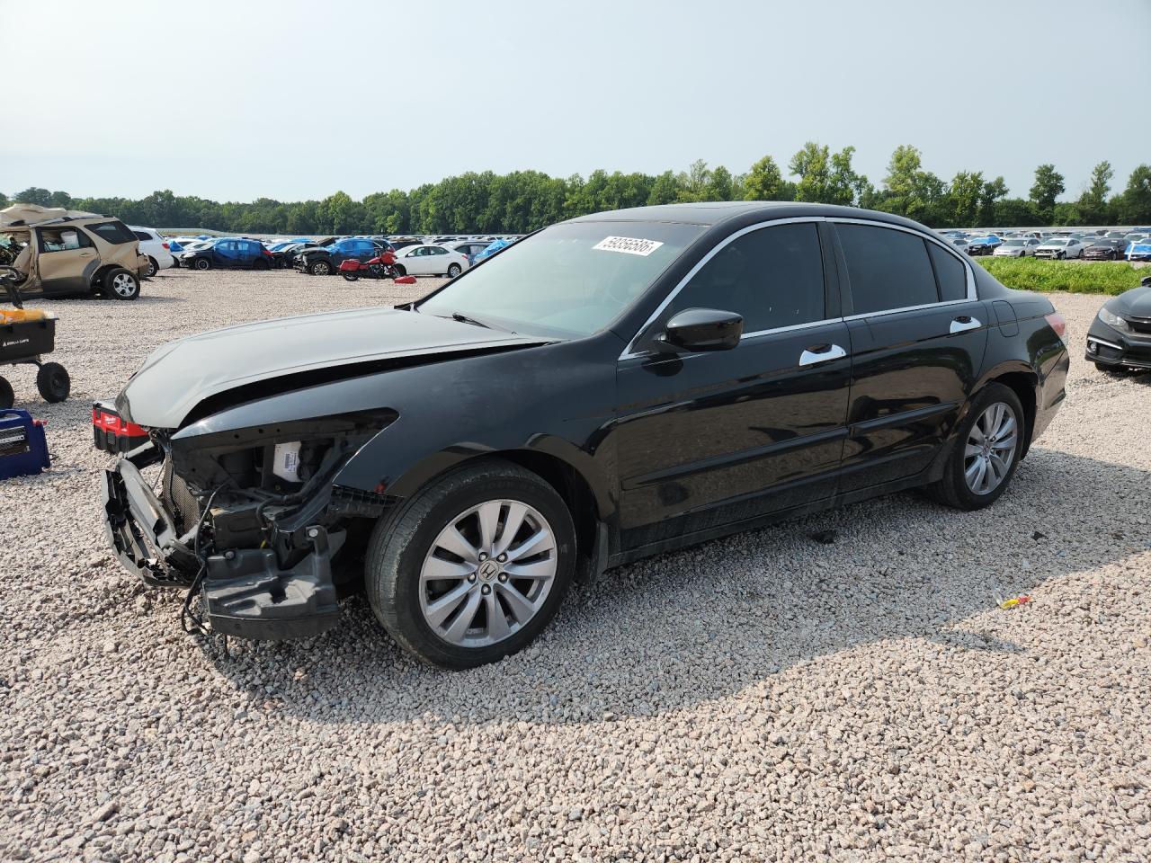 2011 Honda Accord Exl Black vin: 1HGCP3F80BA015779