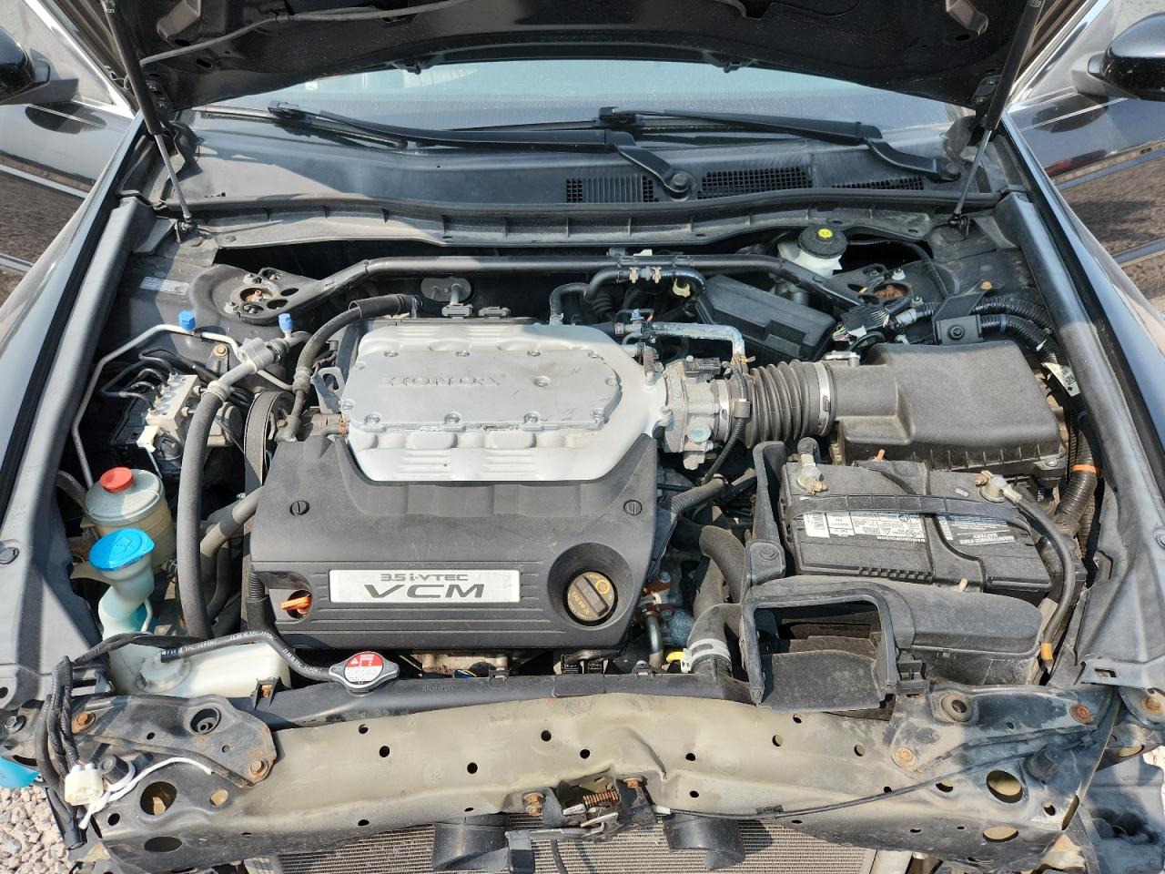 2011 Honda Accord Exl Black vin: 1HGCP3F80BA015779