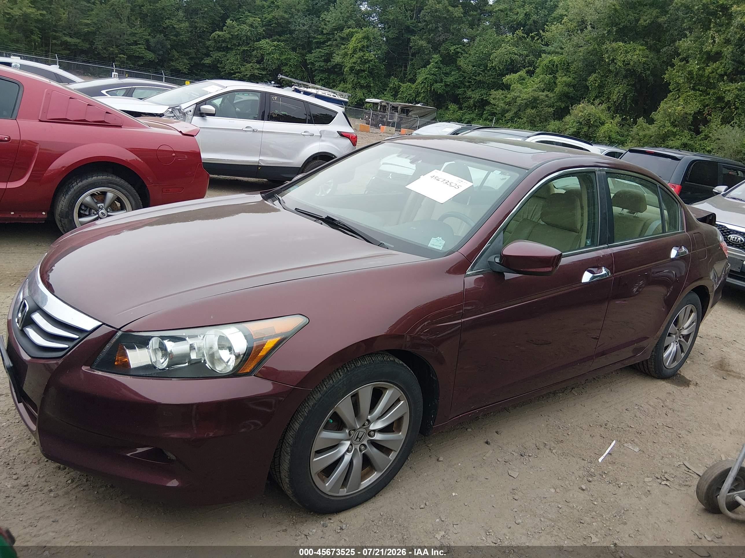 2011 Honda Accord 3.5 Ex-l Purple vin: 1HGCP3F80BA025745