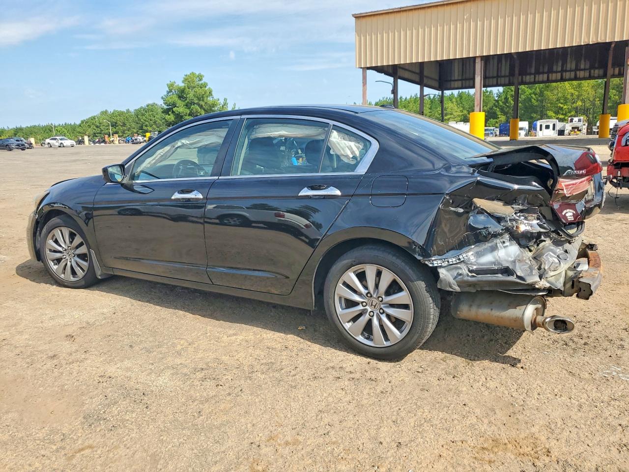 2011 Honda Accord Exl Black vin: 1HGCP3F80BA025860