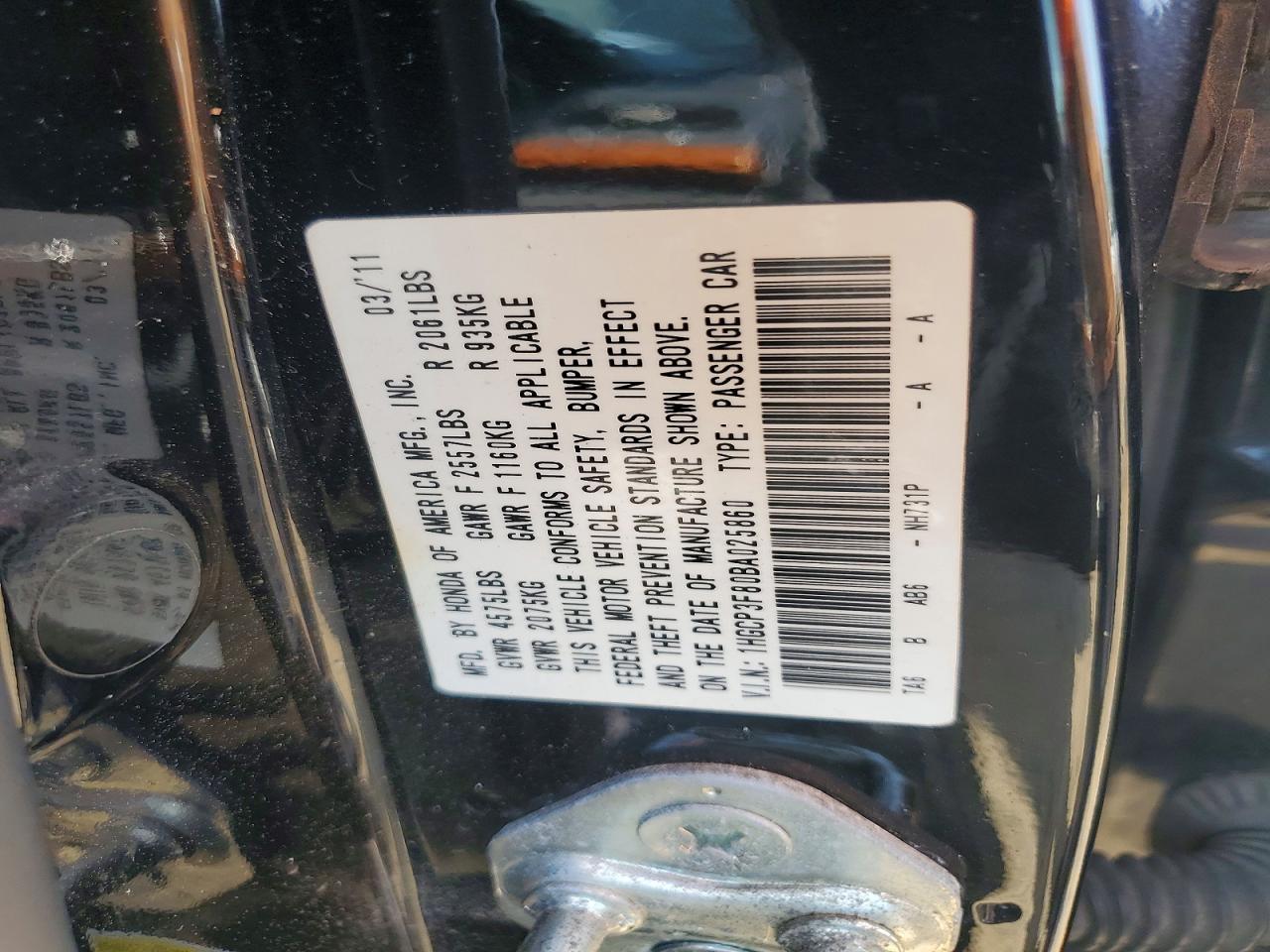 2011 Honda Accord Exl Black vin: 1HGCP3F80BA025860