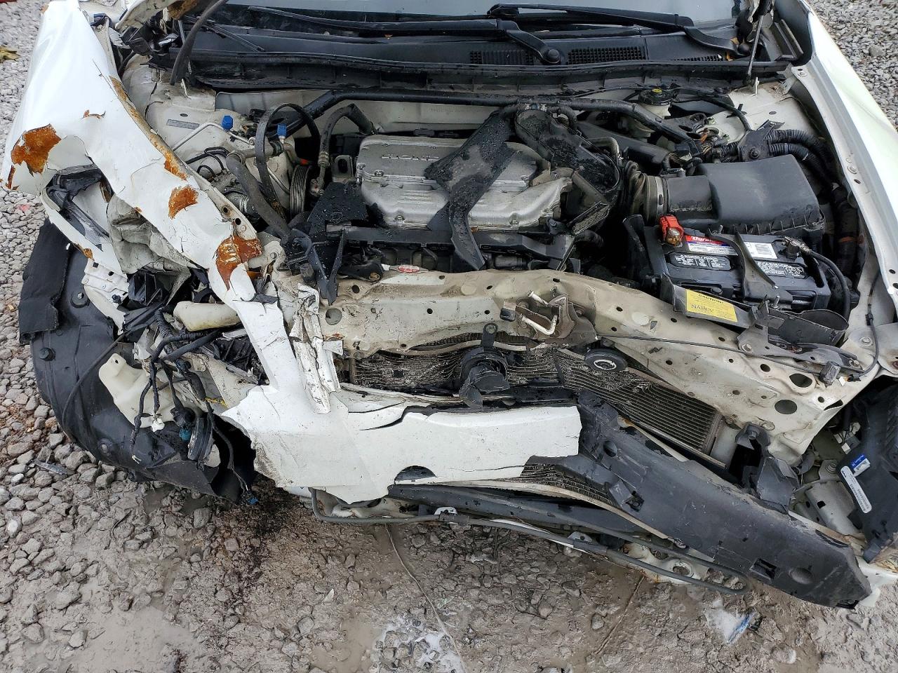 2012 Honda Accord Exl White vin: 1HGCP3F80CA030994