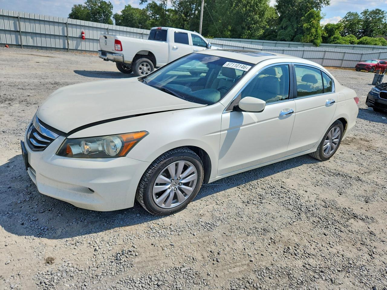 2011 Honda Accord Exl White vin: 1HGCP3F81BA006329