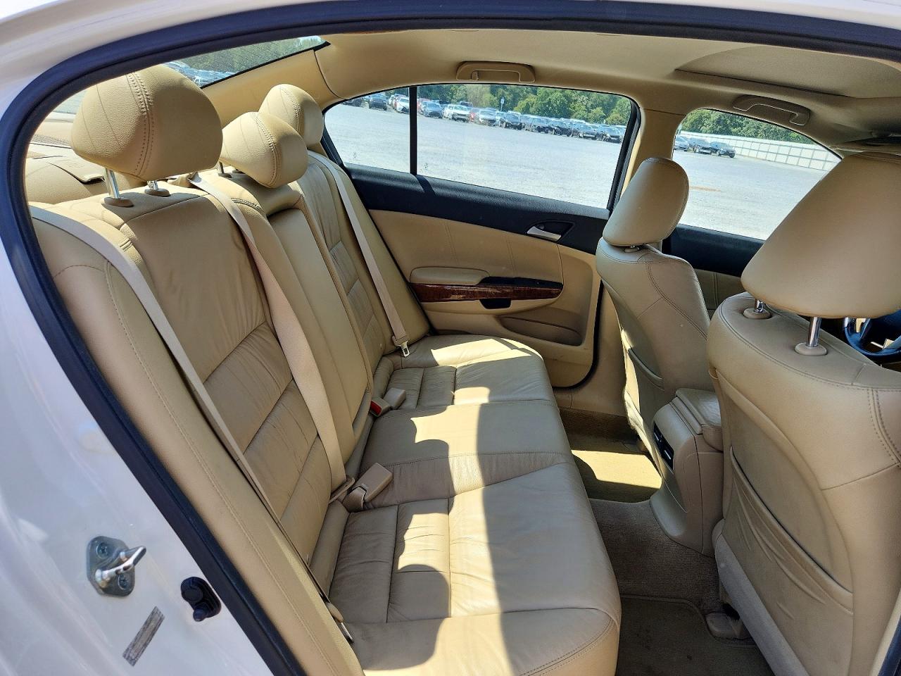 2011 Honda Accord Exl White vin: 1HGCP3F81BA006329