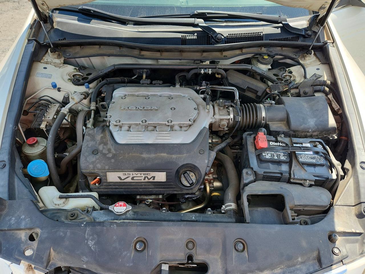 2011 Honda Accord Exl White vin: 1HGCP3F81BA006329