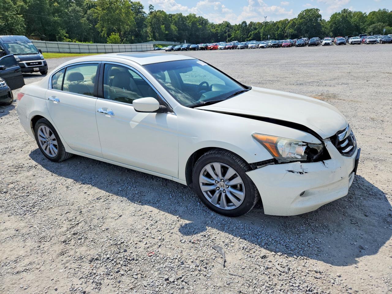 2011 Honda Accord Exl White vin: 1HGCP3F81BA006329