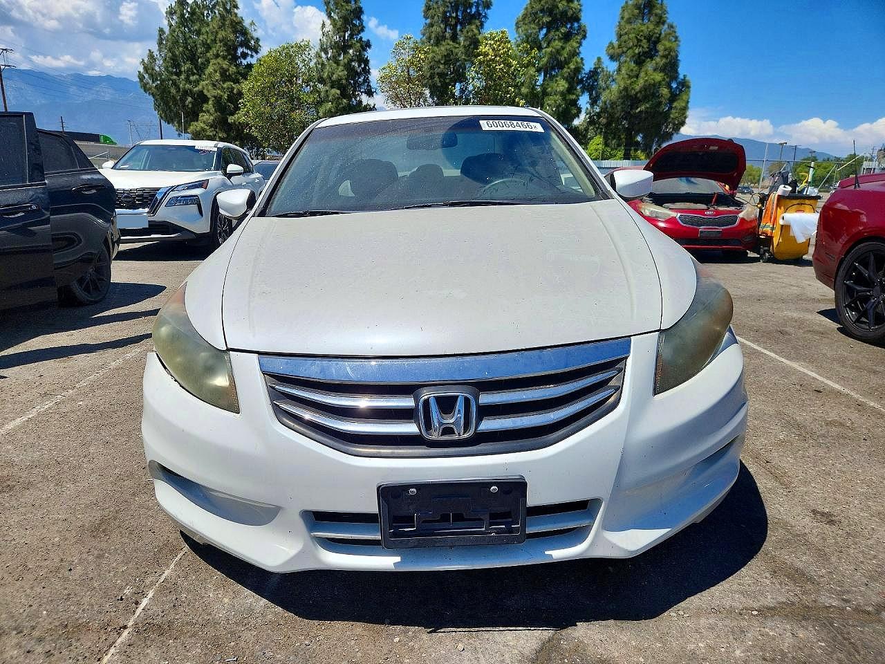 2012 Honda Accord Exl White vin: 1HGCP3F81CA009720