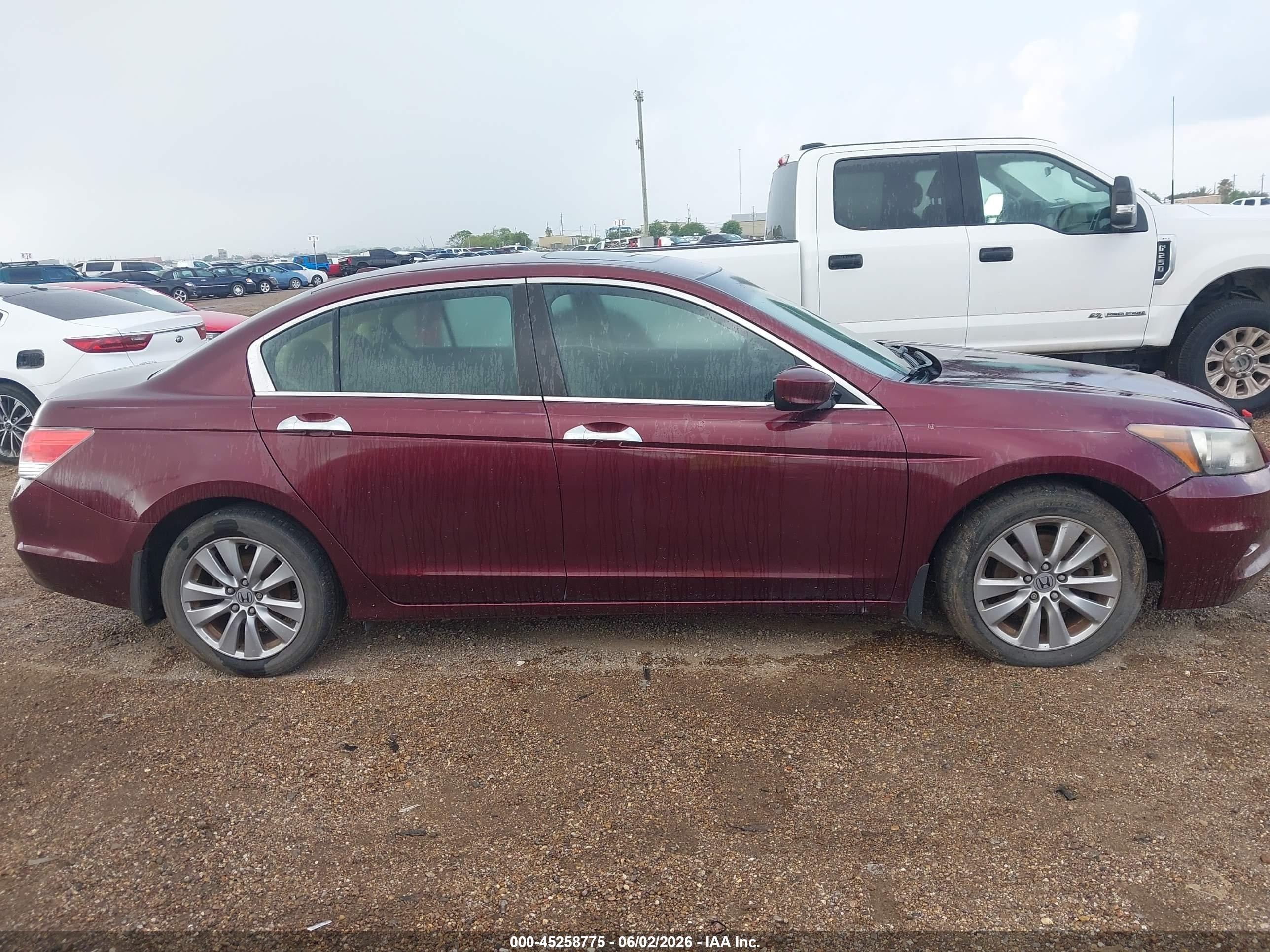 2012 Honda Accord 3.5 Ex-l Maroon vin: 1HGCP3F81CA013783