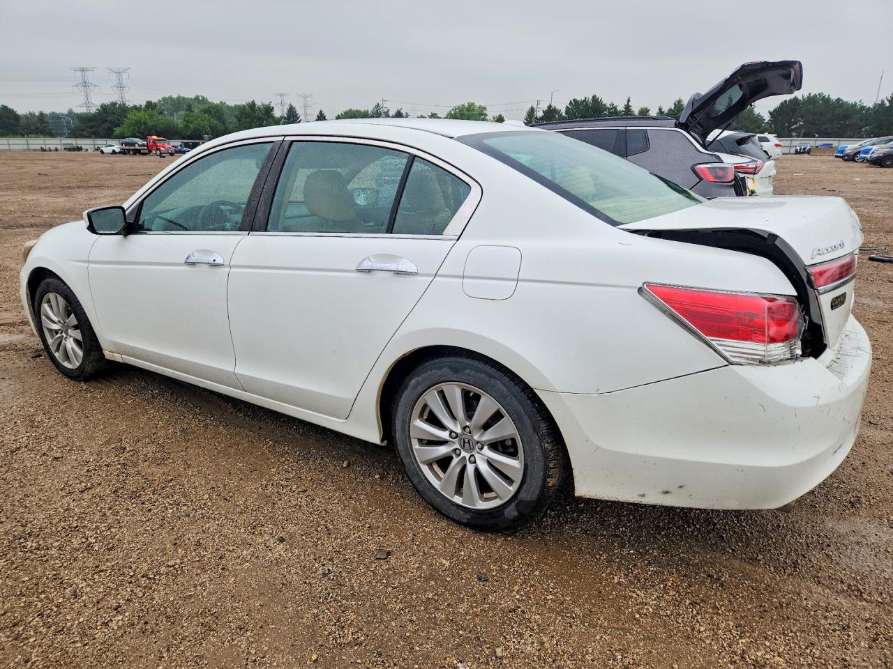 2012 Honda Accord Exl White vin: 1HGCP3F81CA030972