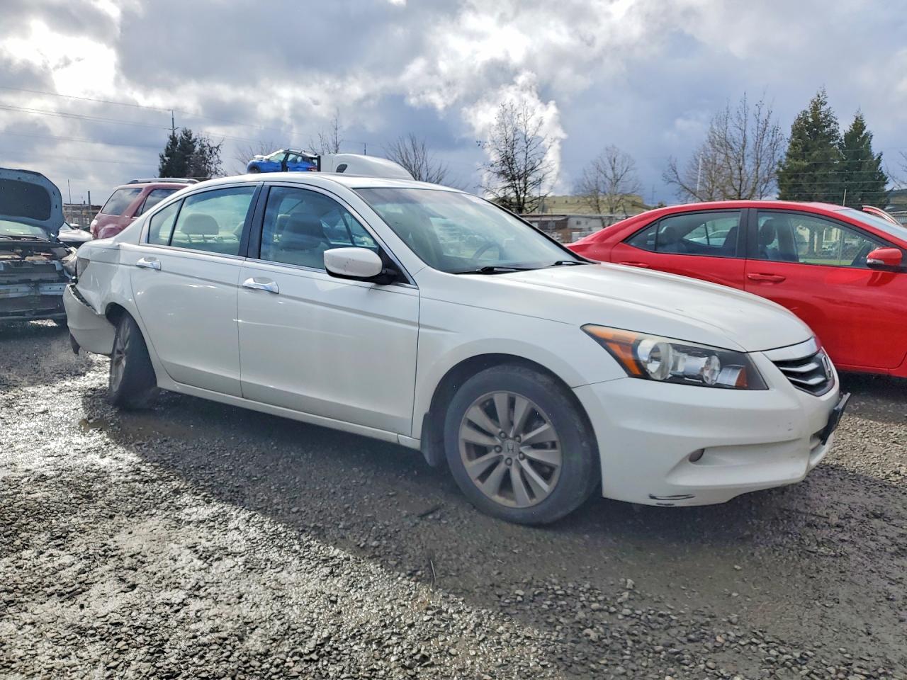 2012 Honda Accord Exl White vin: 1HGCP3F81CA038070
