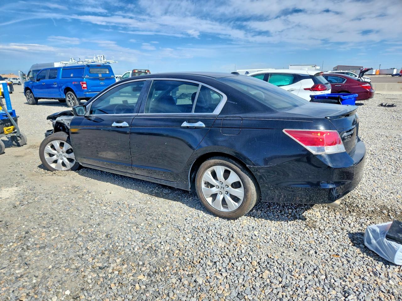 2010 Honda Accord Exl Black vin: 1HGCP3F82AA013238